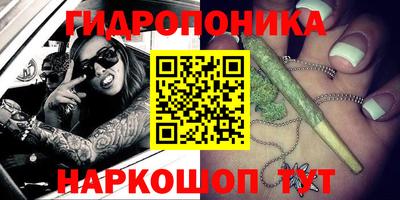 PSILOCYBIN Будённовск