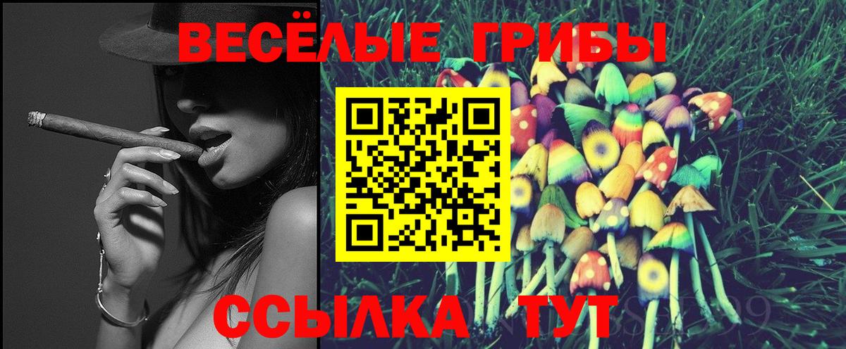 что такое   Галлюциногенные грибы мухоморы  Вход с VPN  Сызрань 