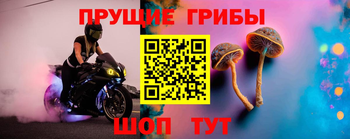 Галлюциногенные грибы GOLDEN TEACHER Сызрань